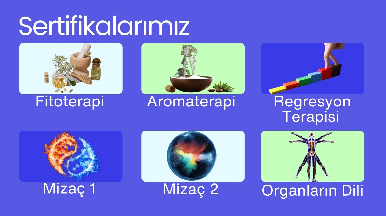 sertifikalarımız-organlarin-dili-mizac-fitoterapi