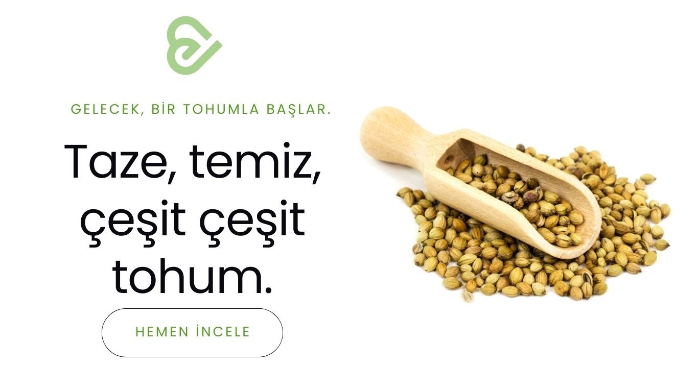 tohumlar-slogan