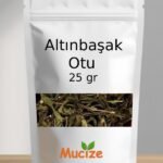 Altınbasak Otu