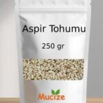 Aspir Tohumu