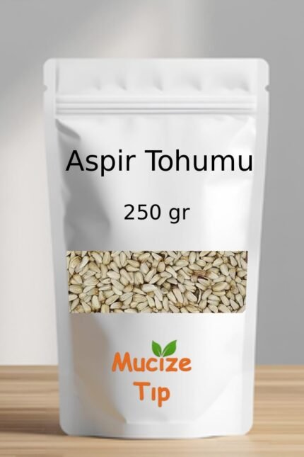 Aspir Tohumu