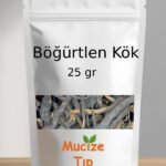 Bogurtlen kok