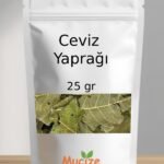 Ceviz Yapragi Kurusu