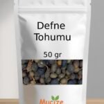 Defne Tohumu