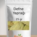 Defne Yapragi