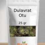 Dulavrat Otu