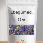 Ebegümeci
