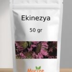 Ekinezya