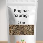 Enginar Yapragi