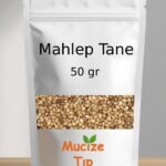 Mahlep Tane