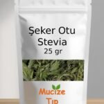 Seker Otu - Stevia