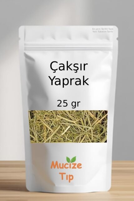 Caksir Yaprak