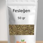 Feslegen - Reyhan - Feslehen