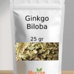 Ginkgo Biloba - Ginko Biloba