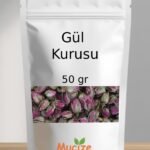 Gonca Gul Kurusu