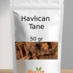 Havlican Tane