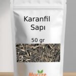 Karanfil Sapi