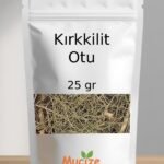 Kirkkilit Otu