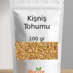 Kisnis Tohumu