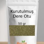 Kurutulmus Dere Otu