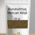 Kurutulmus Mercan Kosk