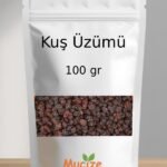 Kus Uzumu