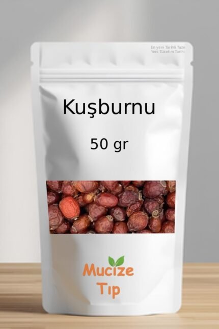 Kusburnu