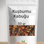 Kusburnu Kabugu