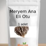 Meryem Ana Eli Otu 1 Adet