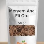 Meryem Ana Eli Otu
