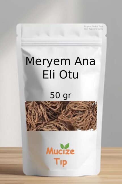 Meryem Ana Eli Otu