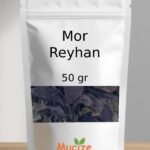 Mor Reyhan