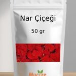 Nar Cicegi Kurusu