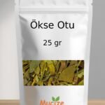 Okse Otu