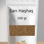 Sari Hashas
