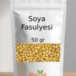 Soya Fasulyesi
