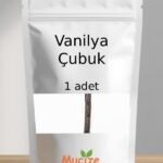 Vanilya Çubuk 1 Adet