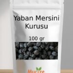 Yaban Mersini Kurusu