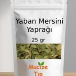 Yaban Mersini Yapragi