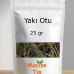 Yaki Otu
