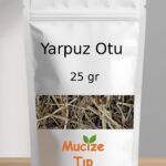 Yarpuz Otu