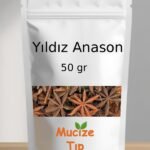 Yildiz Anason