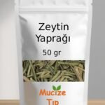 Zeytin Yapragi
