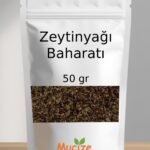 Zeytin Baharati